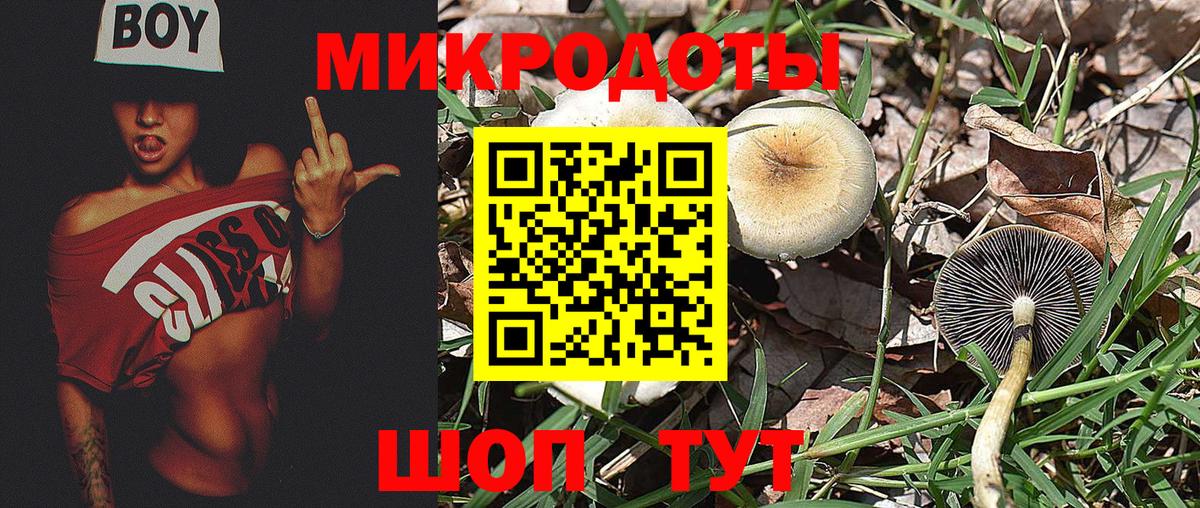 Галлюциногенные грибы MAGIC MUSHROOMS Севастополь