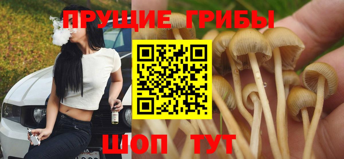 наркотики  Псилоцибиновые грибы ЛСД  Вход с VPN  Севастополь 
